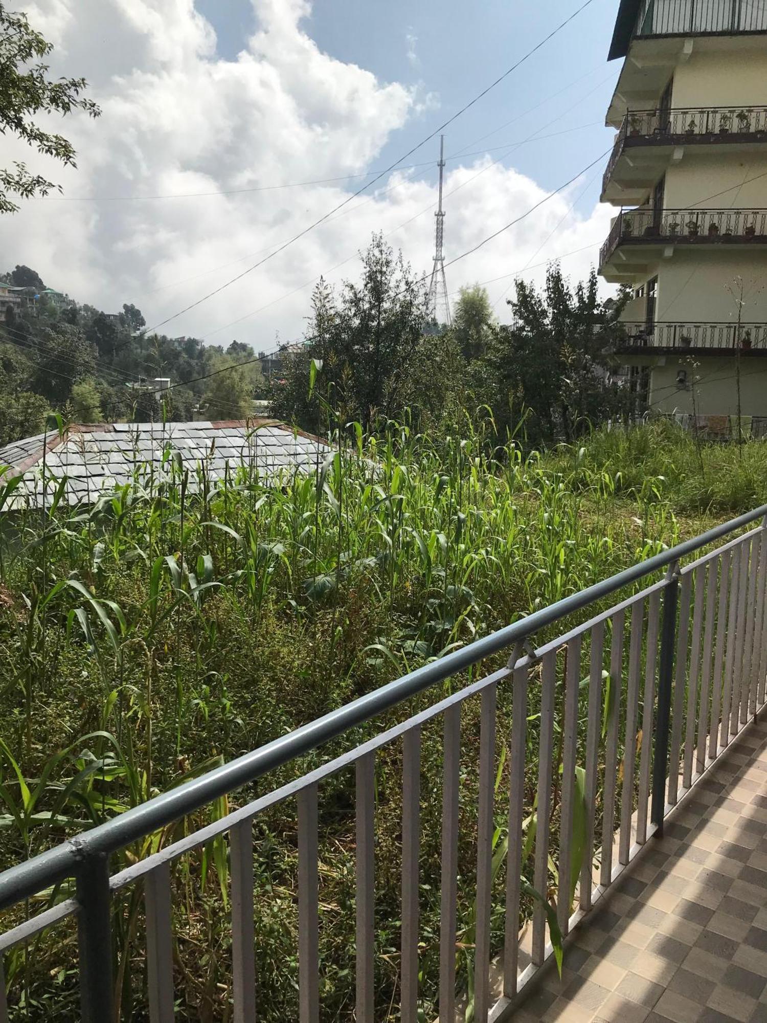 דרמסאלה Mcleodganj Diaries Guest House מראה חיצוני תמונה